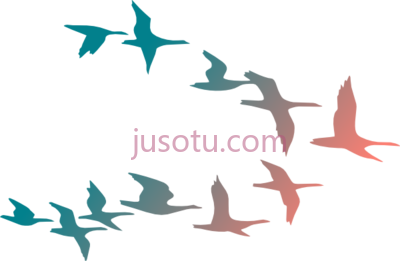 飞鸟,flying colorful birds PNG