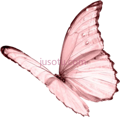 粉彩色蝴蝶,moodboard pastel pink butterfly niche PNG