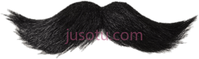 胡子,mustache PNG