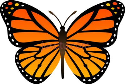 蝴蝶,monarch butterflies PNG