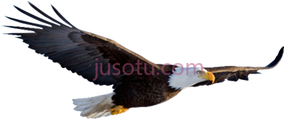 飞鹰,flying eagle PNG