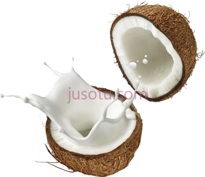 椰子,coconut PNG