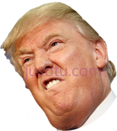 特朗普愤怒PNG