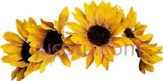 向日葵花冠,yellow flower crown PNG