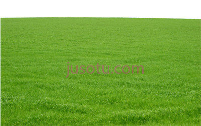 绿草,green grass PNG