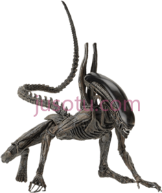 异形动物, PNG