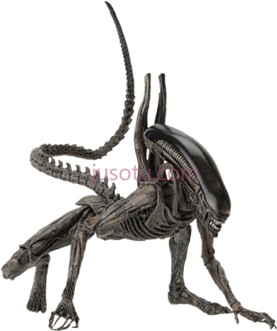 异形动物,xenomorph alien action figure PNG