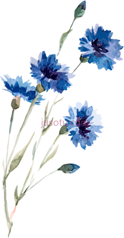 水彩花卉,watercolor painting flowers PNG
