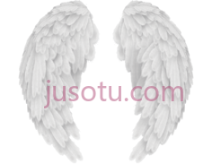 天使之翼PNG