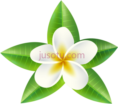 热带花卉,tropical flower art yopriceville PNG