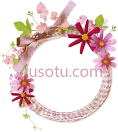 花式圆框PNG