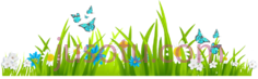 自然景观草地花卉PNG