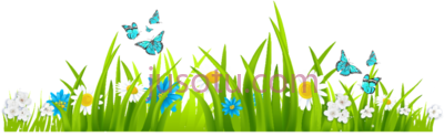自然景观草地花卉,nature landscape grass flowers butterdliez PNG