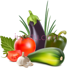蔬菜PNG