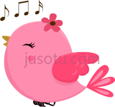 鸟,可爱 PNG