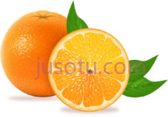 橙子PNG