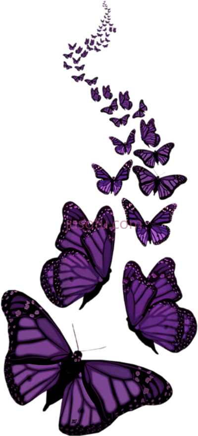 紫蝴蝶,trail purple butterflies PNG