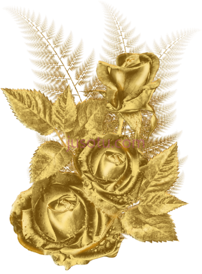 金花,gold flowers PNG
