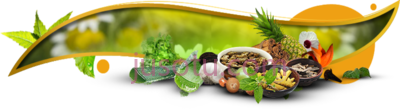 草药,naspex natural herbal color ayurvedic doctor visiting card PNG