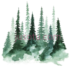 水彩树松林PNG