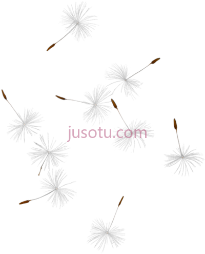蒲公英种子,dandelion seed PNG