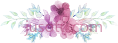 花朵PNG
