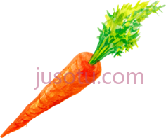 胡萝卜PNG
