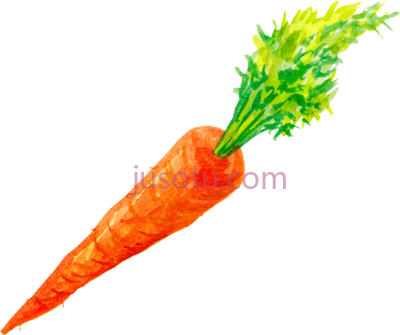胡萝卜,carrots watercolor PNG