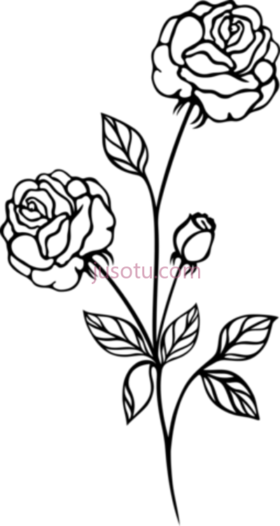 黑白玫瑰,white rose art plant black PNG