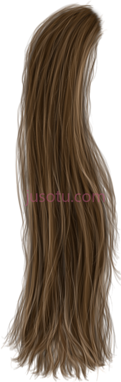 头发颜色,cabelo PNG