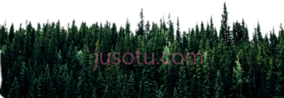 树林,tree line PNG