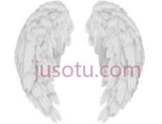 天使之翼PNG