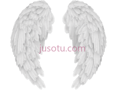 天使之翼,angel wings PNG