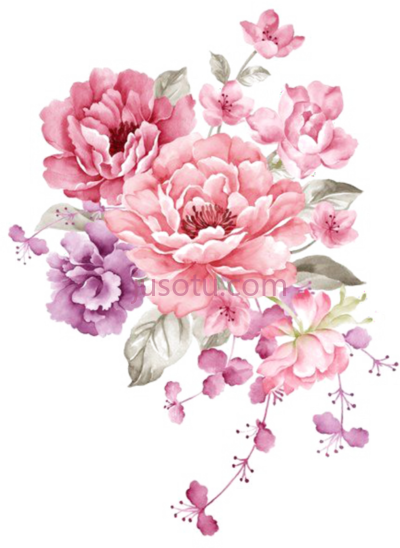 粉红色水彩花束,watercolor flowers bouquet pink PNG