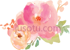 水彩花,flower pastel PNG