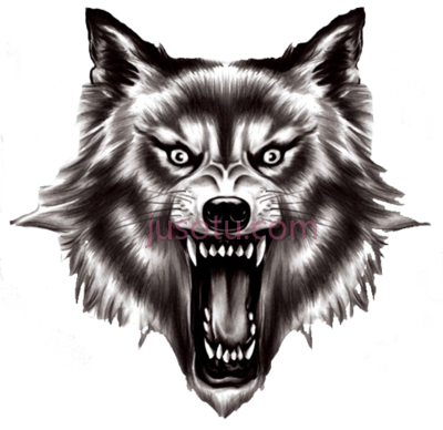 狼,real wolf PNG