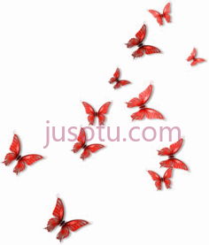 红蝴蝶PNG