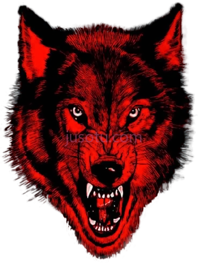 徽标,wolf pac nwo logo PNG