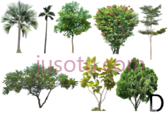 树木景观,trees PNG