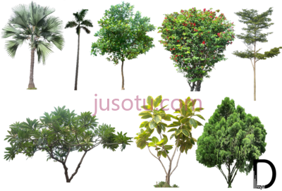 树木景观,tree architecture landscape interior PNG