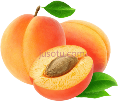 杏子,apricot PNG
