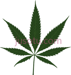 大麻叶PNG