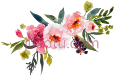 水彩花PNG