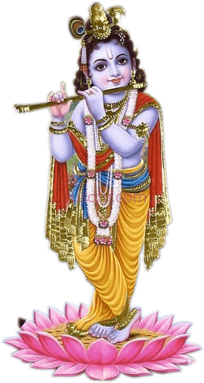 克里希纳,lord krishna PNG