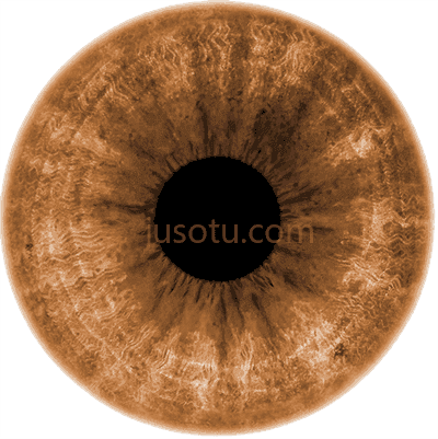 浅棕色眼睛,light brown eyes PNG