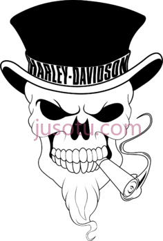 哈雷骷髅戴维森PNG