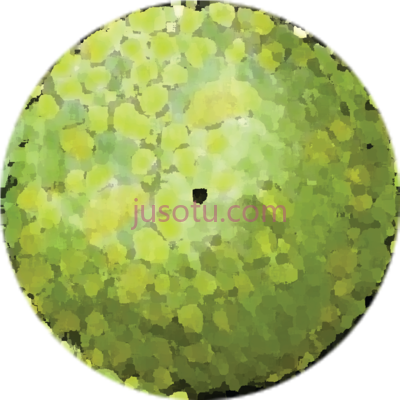 树木,plan trees PNG
