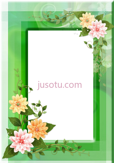 花边框,20 frames flores PNG