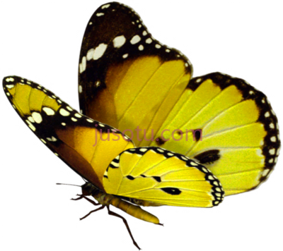 黄色蝴蝶,yellow butterfly purple and pink PNG