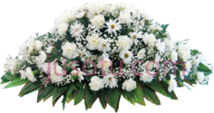 墓葬棺材花束, PNG